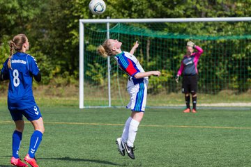 Bild 233 - B-Juniorinnen SV Henstedt Ulzburg - FSC Kaltenkirchen : Ergebnis: 3:2